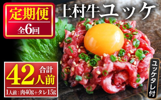 
                  No.955 ＜定期便・全6回(連続)＞自慢の自社グループブランド牛「上村牛ユッケ」(7人前×6回・合計42人前) 国産 九州産 牛肉 黒毛和牛 和牛 定期便 頒布会ユッケ 小分け 冷凍 ギフト 贈答【LRプラスK】【1100】
                