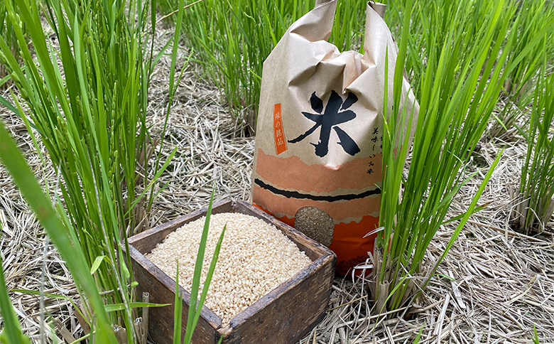 山間の清流を引き込んだ田んぼで作った「きぬむすめ玄米」5kg(令和6年)