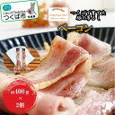 【ふるさと納税】つくばで育てた豚の吊るしベーコン 2個セット | 茨城県 つくば市 豚肉 おつまみ 肉 加工品 ハム 冷蔵 セット