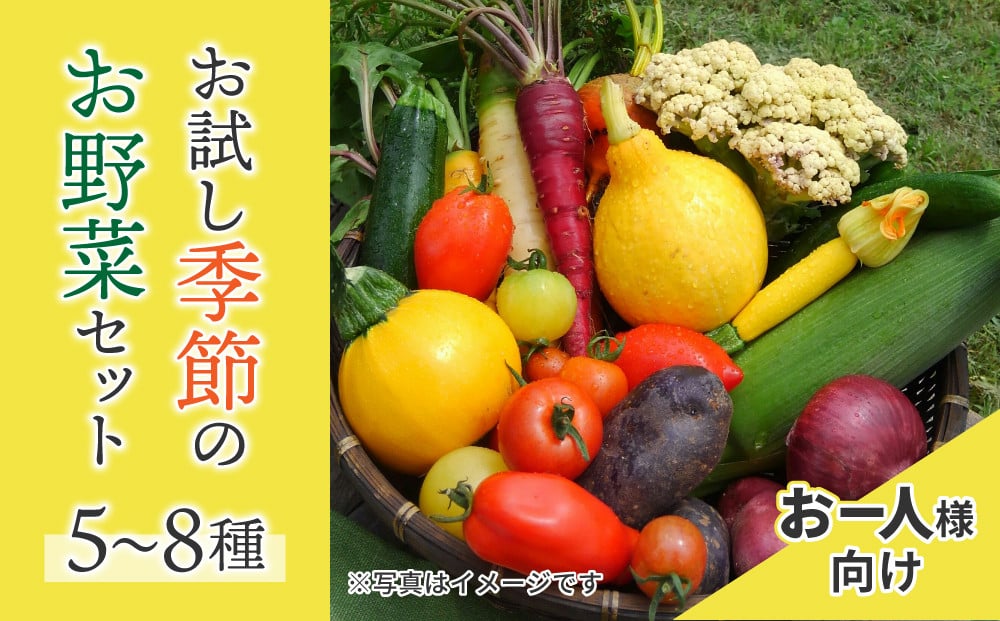 
                  季節のお野菜セット（お一人様向け）｜５〜８種類の野菜詰め合わせ【アグロノーム】
                
