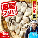 【ふるさと納税】牡蠣 むき身 かき カキ 特選 牡蠣三昧！ 【生牡蠣】広島牡蠣　むき身1kg 人気 かき 広島 料理 簡単 レシピ 海鮮 ギフト 広島県産 江田島市/株式会社門林水産[XAO005]