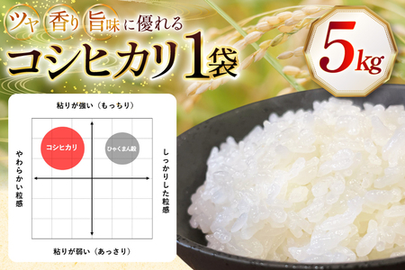 米 令和7年 石川県産 コシヒカリ 5kg 1袋