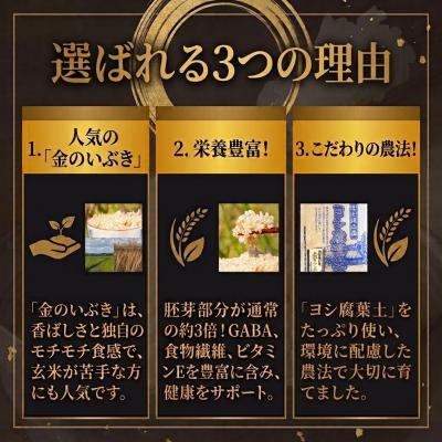 ふるさと納税 石巻市 米 令和7年産 玄米 宮城県産 ヨシ腐葉土米 金のいぶき 2.7kg(900g×3) 真空 小分け |  | 01