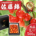 【ふるさと納税】 さくらんぼ 「佐藤錦」Lサイズ以上 秀品 500g バラ詰め 山形県産 【2025年6月上旬頃〜下旬頃発送予定】／ お取り寄せ フルーツ 果物 果実 ご当地 特産 東北 道の駅 チェリーランド さがえ ドライブ 旅行 土産 2025年産 令和7年産 500グラム