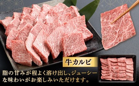 【やまぐち和牛燦】 牛カルビ焼肉 約500g 牛カルビ 焼肉 焼き肉 牛肉 冷凍 福岡県 北九州市