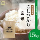 【ふるさと納税】＜令和6年産米 早期受付＞ 鮭川村 コシヒカリ【玄米】 15kg （15kg×1袋）