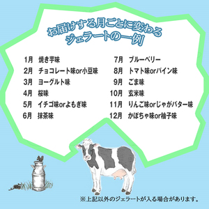 【ジェラート定期便】搾りたて牛乳で作る「松ぼっくり」 ジェラート （ミルク500g＋月ごとに変わるジェラート500g）4カ月連続お届け ／ 定期便 アイス