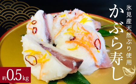 ＜先行予約＞ 氷見産天然ぶり使用 かぶら寿司 約500g ＜2025年11月下旬以降順次発送＞ かぶら寿し 漬物 郷土料理 発酵 富山県 氷見市