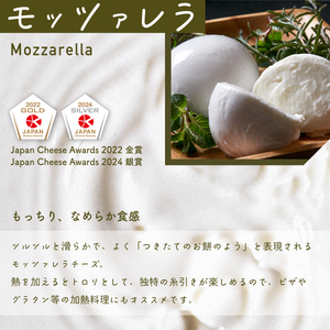 【全商品受賞】ナチュラルチーズ4種セット｜チーズ ナチュラル