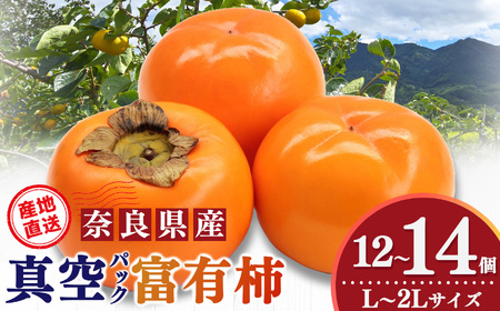 貯蔵 富有柿 12 個～14 個 L～2L サイズ | 果物 柿 