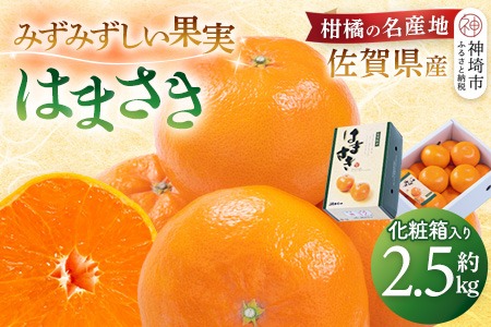 【令和7年2月より発送】佐賀県産柑橘『はまさき』約2500g【化粧箱入り】【果物 フルーツ 柑橘 みかん デザート 贈答 ふるさと納税】(H108108)