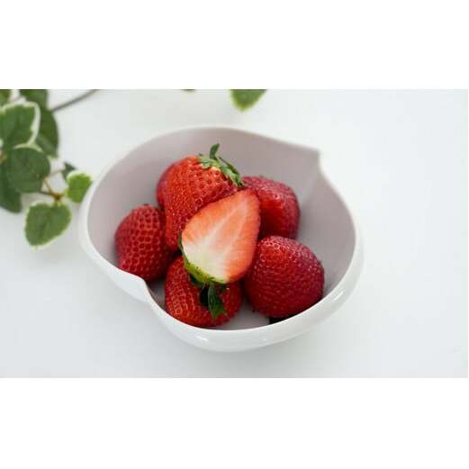 【眺めてうっとり、かじって甘い！】JAの「いちごさん」240g✕4パック【JA伊万里_園芸】いちご イチゴ 苺 いちごさん 果物 4パック 小分け 佐賀 佐賀いちご 甘い 酸味 10000円 1万円 