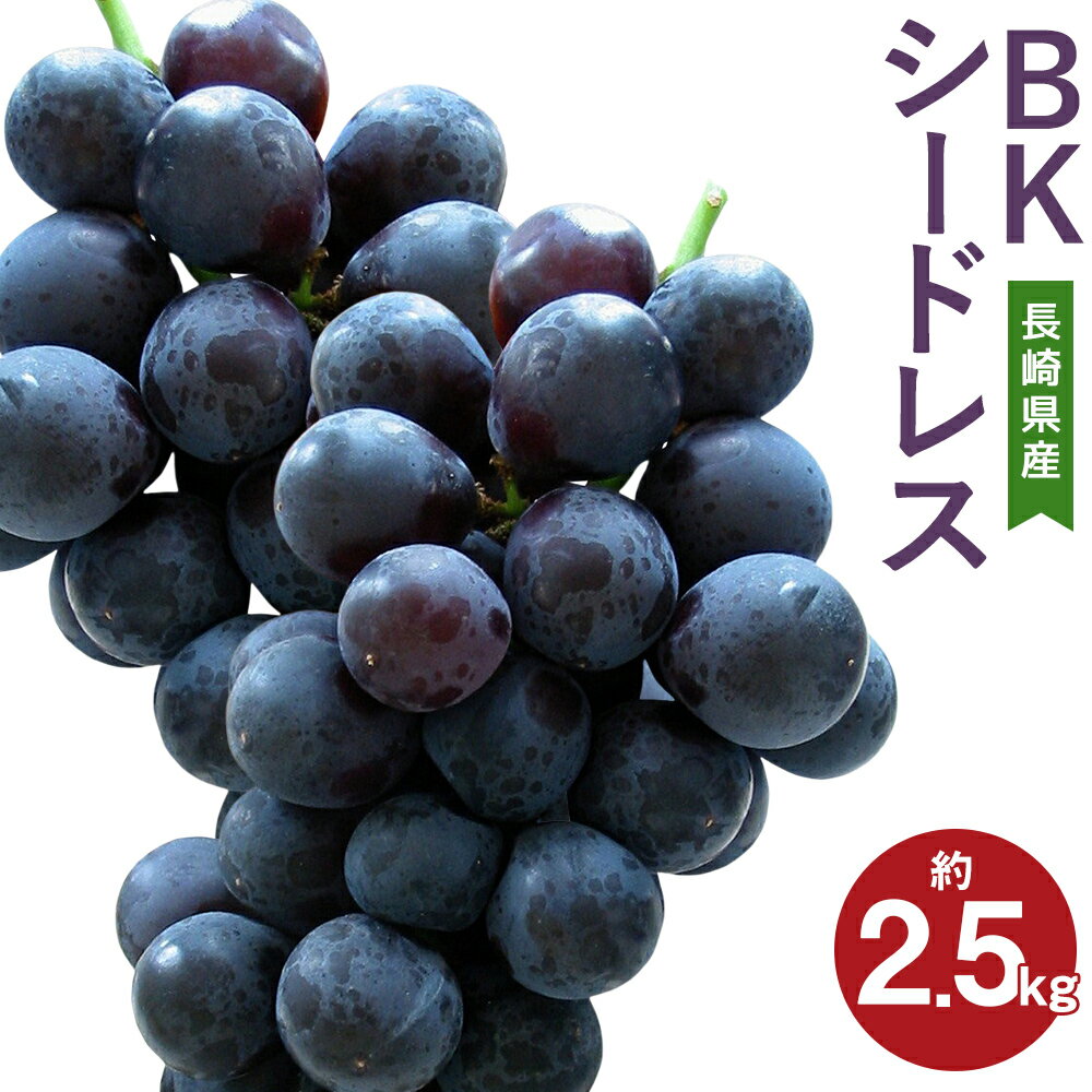 【ふるさと納税】先行予約 BKシードレス 約2.5kg 葡萄 ブドウ ぶどう フルーツ 果物 果実 ギフト 長崎県産 送料無料【2025年8月下旬～9月上旬に順次発送予定】