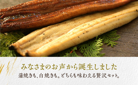 うなぎ晴々 紅白 ２尾（蒲焼１尾、白焼１尾）新仔うなぎ
