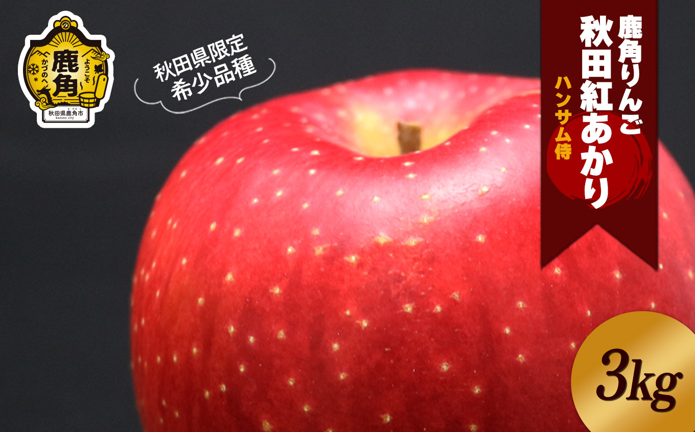
            《 先行予約 》鹿角りんご 秀品「秋田紅あかり」約 3kg ●2025年11月上旬発送開始【ハンサム侍】リンゴ 林檎 フルーツ グルメ ギフト 故郷 秋田 あきた 鹿角市 鹿角 送料無料 
          