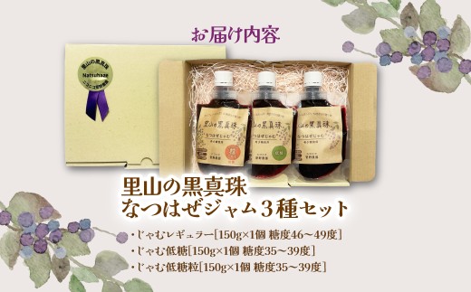 里山の黒真珠 なつはぜじゃむ3種セット 【ふるさと納税 人気 おすすめ ナツハゼ 名物 特産 ポリフェノール 抗酸化 疲労回復 健康 美容 復興 福島 飯舘村】 ITTAA003