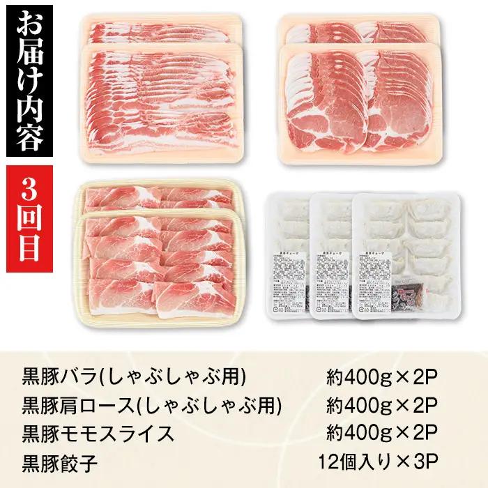 ＜定期便・全3回(隔月)＞極上セットD かごしま黒豚 ふるさと定期便 豚肉 国産【和田養豚】E02004