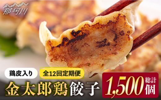 【全12回定期便】平飼いで育った元気な鶏！金太郎鶏 ぎょうざ（25個×5袋セット）＜有限会社 フジノ香花園＞那珂川市 鶏肉 鶏 餃子 ぎょうざ 中華 [GAM016]