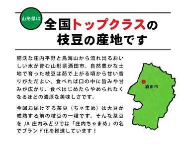 SA2922　庄内ちゃまめ　計1.5kg(250g×6袋)