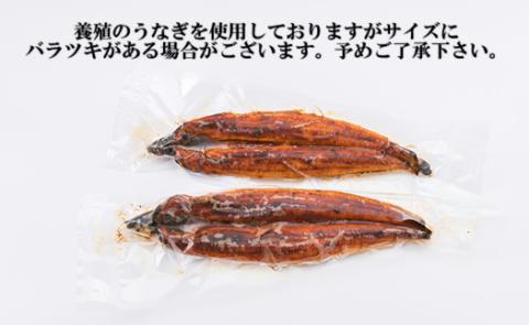 A1526.2025.02《7/31丑の日までにお届け！！》うなぎの蒲焼３尾（計１，０００ｇ前後）