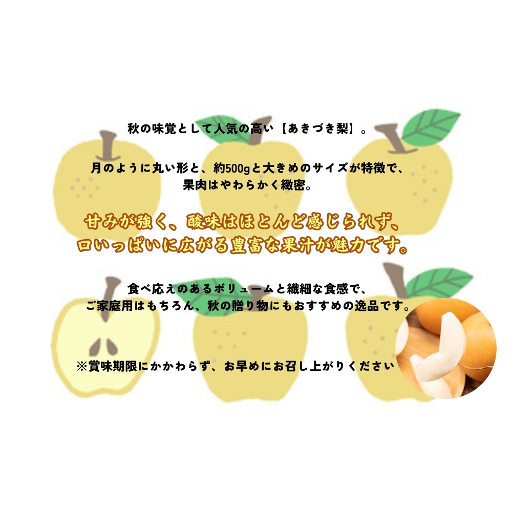 【予約受付中】【9月上旬より順次発送】 【濱田農園】 秋月梨 約3kg 【数量限定】