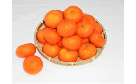 
紀州完熟みかん３ｋｇ（２Ｌサイズ）
