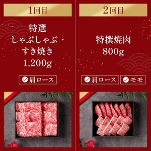 神戸牛定期便ファーストクラス和牛セレブ神戸牛【定期便6回】