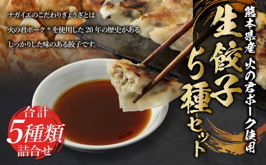 熊本県産 火の君ポーク® 使用生餃子5種セット ポーク 詰め合わせ ギフト 九州 餃子
