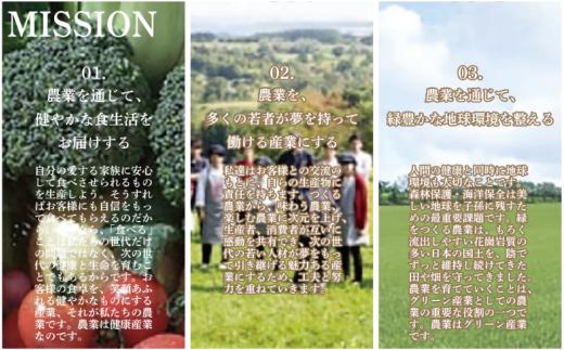 【定期便 全10回】国産豚肉 4種 詰め合わせセット 800g~1kg 計10kg 館ヶ森高原豚 4種 定期便 冷凍 小分け 豚肉 豚 肉 豚バラ ロース ウデ モモ 切り落とし 国産  真空パック 大容量 おかず 冷凍 定期便 しゃぶしゃぶ すき焼き まとめ買い 岩手県 一関市