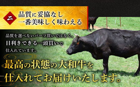 希少和牛肉 大和牛すき焼き（しゃぶしゃぶ）用切り落とし 600g 肉の河内屋  肉 牛肉 特選和牛 大和牛 黒毛和牛 牛肉 肉 上質霜降り牛肉 極上牛肉 すき焼き肉 しゃぶしゃぶ 特上肉 焼き肉 ジュ