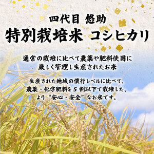 【先行予約】令和8年産 無洗米 コシヒカリ 4kg コシヒカリ コシヒカリ kwsMKH