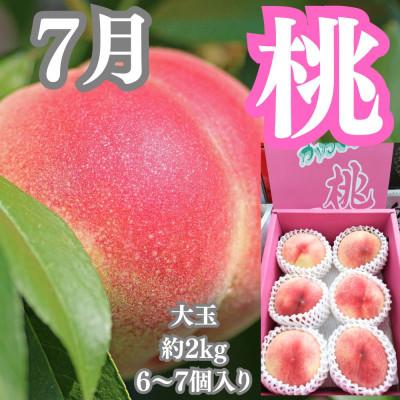 ふるさと納税 坂出市 【発送月固定定期便】旬の果物詰め合わせ全10回 |  | 02