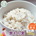 【ふるさと納税】東白川村産 紫もち麦 ダイシモチ お試し 150g 1袋 食べきり お米 こめ 精米 ご飯 おためし 1000円 1000円ポッキリ お買い物マラソン 買い回り スーパーセール