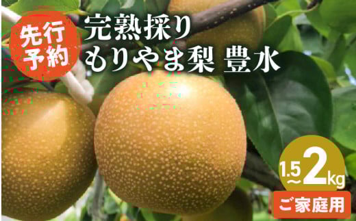完熟採り　もりやま梨（豊水）家庭用訳あり　1.5キロ〜2キロ【2025年9月中旬お届け】ジューシー 完熟梨 箱詰め フルーツランド きたむら果樹園 
