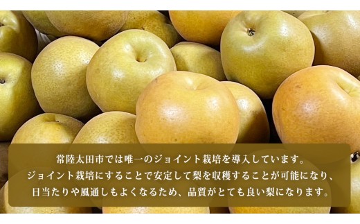 【2026年9月上旬発送開始】 茨城県 オリジナル 幻の 高級梨 『 恵水 』 約 5kg 7玉 ～ 12玉 【茨城県共通返礼品／常陸太田市】 桧山果樹園 [DU008sa]