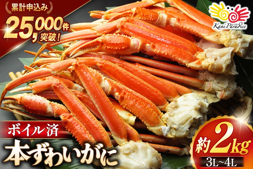 ボイル済み 本ずわいがに 脚 3L～4L 総重量 2kg [カネダイ 宮城県 気仙沼市 20564764] カニ 蟹 ズワイガニ ずわい蟹 ズワイ蟹 ずわい ズワイ 海鮮 魚介類 カニ脚 蟹脚 足 ボイル ご褒美
