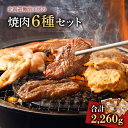 【ふるさと納税】北海道樽前工房 の 焼肉 6種 セット 肉 牛 牛肉 豚 豚肉 鶏 鶏肉 焼き肉 おかず おつまみ バーベキュー さがり カルビ せせり ホルモン にんにく醤油 味噌 塩 味付き 樽前コーポレーション 北海道 苫小牧市 おすすめ ランキング プレゼント ギフト