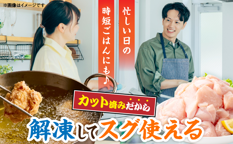 数量限定 宮崎県産 若鶏むね肉 切身 250g×12袋 計3kg 小分け 便利 冷凍 国産 真空パック カット済 簡単調理 サラダチキン 蒸し鶏 炒め物 高たんぱく 低カロリー おかず お弁当 おつま