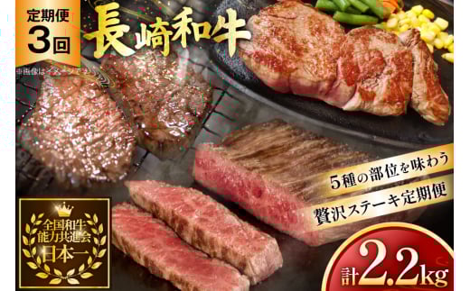 牛肉 和牛 定期便 長崎和牛 ステーキ 食べ比べ 5種 3回 総計2.2kg [黒牛 長崎県 東彼杵町 hs42bag750003] 赤身肉 赤身肉ステーキ 赤身ステーキ ヒレステーキ サーロインステーキ ランプ