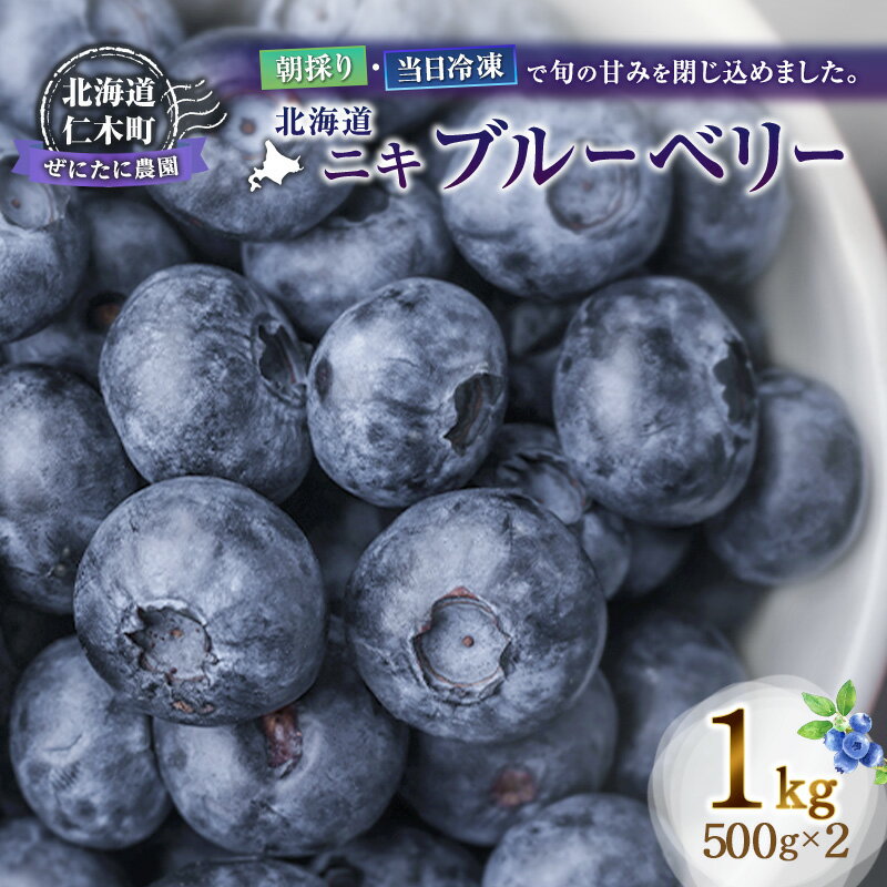 【ふるさと納税】先行予約【朝採り】当日冷凍「北海道ニキブルーベリー」1kg（500g×2）サイズ混載 果物 くだもの 冷凍 フルーツ ブルーベリー 北海道 仁木［ぜにたに農園］　お届け：2026年7月中旬～2027年1月末まで