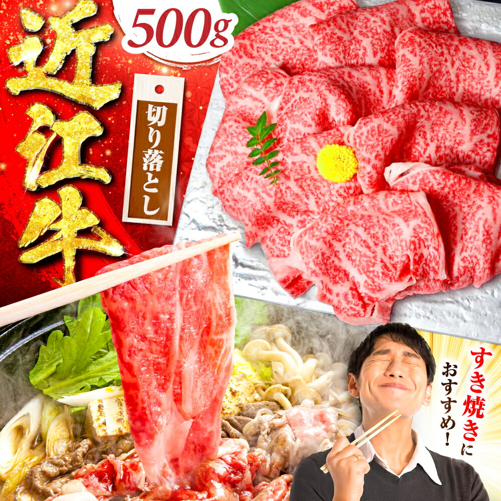 【ふるさと納税】近江牛 すき焼き用 切落し 500g / 牛肉 a5 和牛 国産牛 黒毛和牛 すき焼き 切り落とし しゃぶしゃぶ 霜降り お祝い / 栗東市 / 元三フード株式会社[BIBH005]