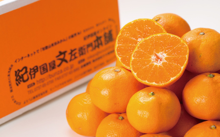 みかん 蜜柑 柑橘 有田みかん 果物 フルーツ / ブランド有田みかん【Ｌ】秀品10kg 産地直送／薄皮で甘い美味しい和歌山県産／紀伊国屋文左衛門本舗　※2024年11月上旬～2025年1月中旬ごろ発