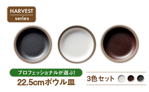 【美濃焼】HARVEST 22.5cmカレースパゲティボウル 3色セット（光洋陶器）【cierto】食器 皿 大皿 [MCD003]