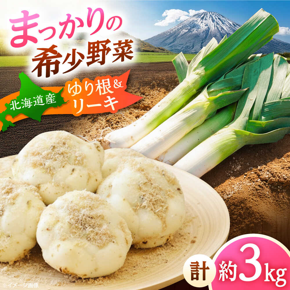 【ふるさと納税】【2026年11月上旬以降順次発送】 ゆり根とリーキ 計3kg | ゆり根 リーキ 野菜 やさい 北海道 産地直送 | 道の駅 真狩フラワーセンター[BPAM022]