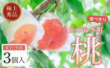 桃 極上秀品 食べきりやすい３個入 ［先行予約］［2026年6月下旬頃より順次発送］こだわり農家厳選！［KG1］桃桃桃桃桃