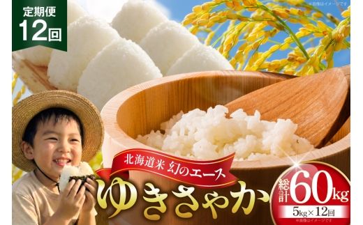 米 令和8年産 新米 ゆきさやか 5kg 12回 定期便 総計 60kg [笹田ファーム 北海道 剣淵町 14656467] お米 おこめ こめ コメ 定期配送 ご飯 ごはん 白米 精米 令和8年