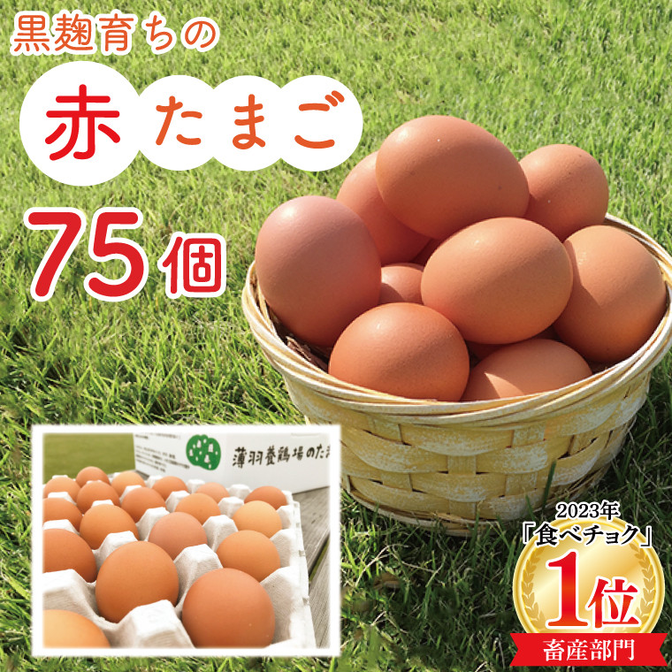 
            ＼大容量／黒麹育ちの赤たまご75個 |栃木県 益子町 ふるさと納税 たまご 卵 タマゴ 赤たまご 人気 濃厚 食べチョク (BC008)
          