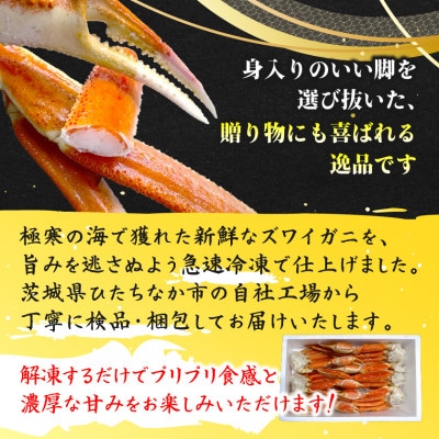ボイル本ずわいがに肩付脚 約1.8kg(4〜6肩)【配送不可地域：離島】【1692170】