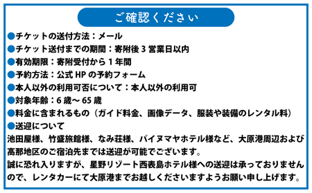 【夏季限定】西表島 森林浴キャニオニングツアー【体験可能期間:5月1日～10月31日】大人1名分