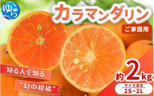 【来シーズン 先行予約】≪家庭用≫カラマンダリン 約2kg ※2026年3月下旬～順次発送 農家直送 / くだもの  果実  柑橘 果物 フルーツ 国産 和歌山県 由良町 からまんだりん カラ 人気 おすすめ 和歌山 甘い おれんじ ご家庭用 訳あり 規格外【nktn028】